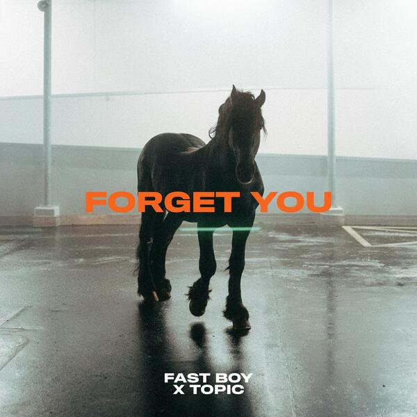 FORGET YOU